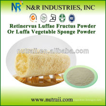 Luffa em pó natural de Luffa Sponge